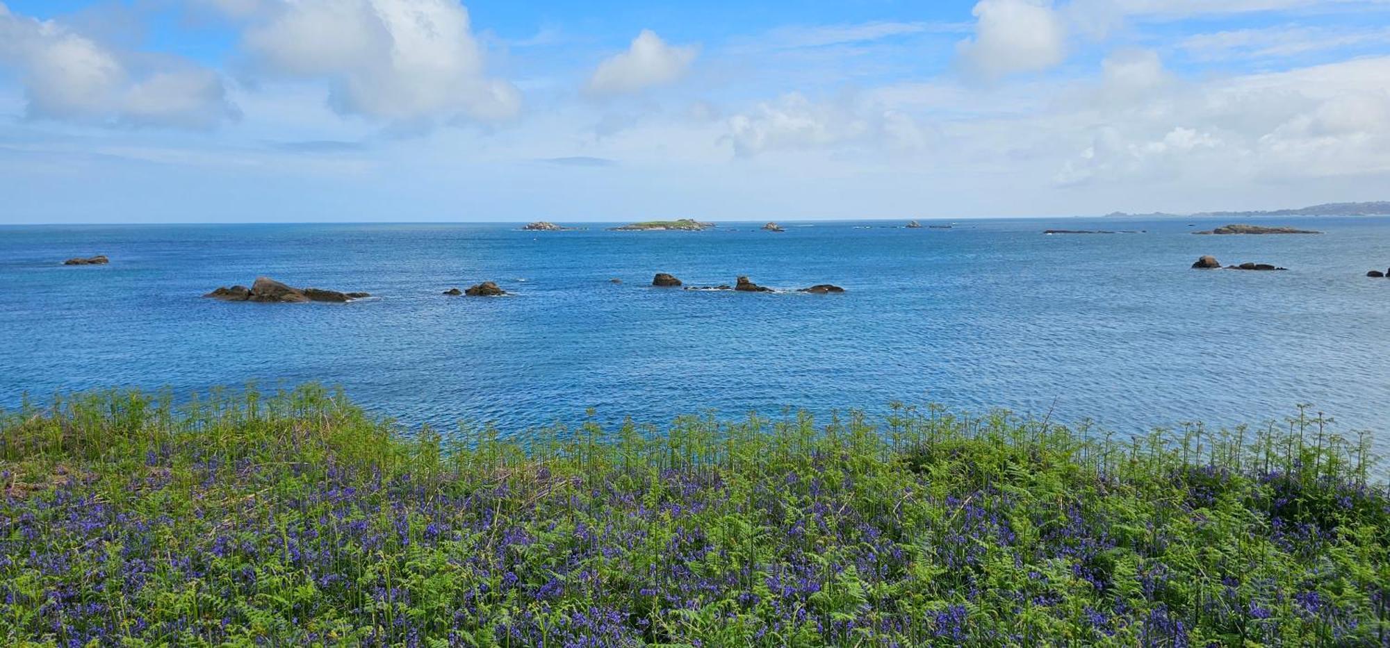 Ker Douara - Ile Callot Карантек Екстериор снимка